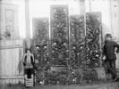 Augustus Hamilton with Maori carvings
