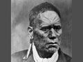 Maihi Parāone Kawiti, 1880s