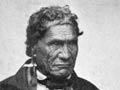 Portrait of Eruera Maihi Patuone by John Nicol Crombie
