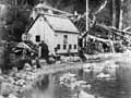 Donald Sutherland's hut at Milford Sound, 1880s