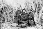 Wiremu Tāmihana Tarapīpipi Te Waharoa and family
