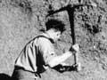 Harold Wellman