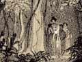 Forest scene near Waipā