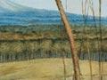 New Zealand art 