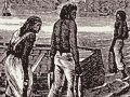 A catch of barracouta