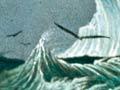 <em>Blue Jacket</em> flying before the wind