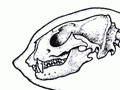 Two seal families