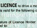 Plasticised paper licence
