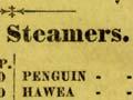 Union Steam Ship Company pocket guide