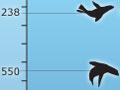Ocean dive depths