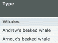 Whale strandings in New Zealand, 1978–2004
