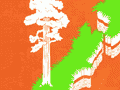 Soil … our greatest natural resource!
