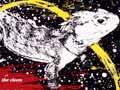 Tuatara compilation poster 