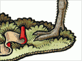 Interactive: Civic coats of arms