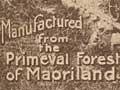 Interactive: The Kauri Timber Company