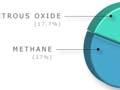 Components of greenhouse gas emissions 