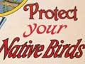 Interactive: Promoting conservation