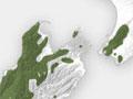 Interactive: Distribution of New Zealand beeches