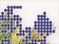 Interactive: Distribution of birds of open country