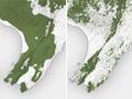 Interactive: Forest clearance