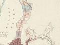 Interactive: Nelson country blocks