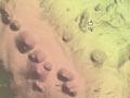 Macauley caldera 