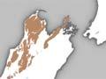 Paleozoic rocks