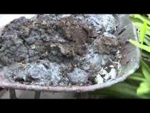 Video: Christchurch Earthquake  Showing the sand liquefaction process with vibration