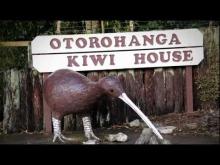 Video: Ōtorohanga, the kiwi town - Roadside Stories