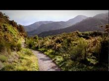 Video: The rugged Remutakas - Roadside Stories