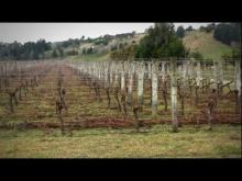 Video: Fruitful Eskdale - Roadside Stories