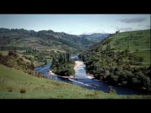 Video: Whanganui River - Roadside Stories