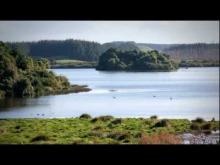 Video: Lake Papaitonga - Roadside Stories