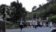 Video: Show Reel