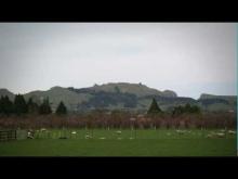 Video: Te Mata Peak, Hawke's Bay giant - Roadside Stories