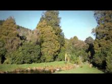 Video: Protecting native birds at Pūkaha Mount Bruce - Roadside Stories