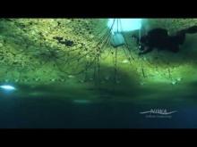 Video: Thin Ice