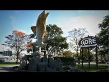 Video: Monumental Gore - Roadside Stories