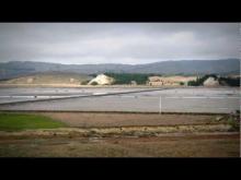 Video: Salt from Lake Grassmere - Roadside Stories