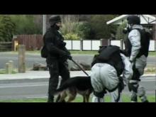 Video: OPERATION 8 - Trailer