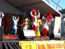 Video: Punjabi Dance at India Festival 2010