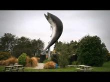 Video: Rakaia, salmon river - Roadside Stories
