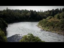 Video: Trout fishing on the Tongariro River - Roadside Stories