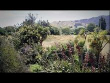 Video: Trouble at Tuamarina - Roadside Stories