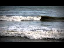 Video: Paekākāriki - Roadside Stories