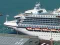 Lyttelton and Diamond harbours