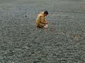 Looking for gemstones, Birdlings Flat