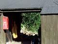 Boatshed Hut, Milford Track, Fiordland 