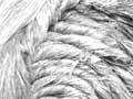 Washing flax fibre 