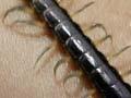 Giant centipede